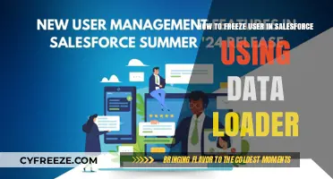 Freeze Salesforce User Accounts Efficiently with Data Loader: A Guide