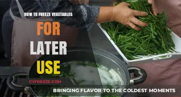Mastering Vegetable Preservation: A Guide to Freezing Veggies for Later