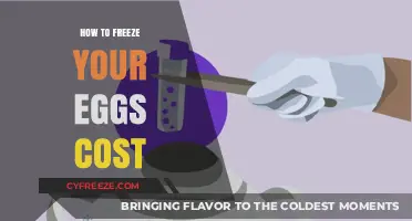 Egg Freezing Costs: A Comprehensive Guide to Budgeting for Fertility Preservation