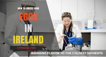 Preserving Your Future: A Guide to Egg Freezing in Ireland