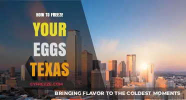 Preserving Your Future: A Guide to Egg Freezing in Texas