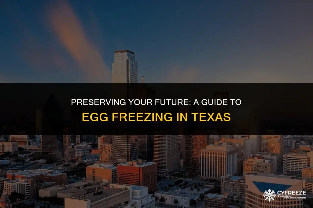 how to freeze your eggs texas