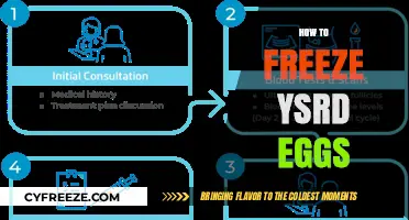 The Ultimate Guide to Freezing Your Eggs for Future Use