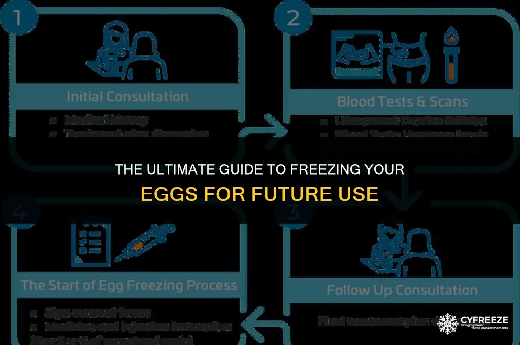 how to freeze ysrd eggs