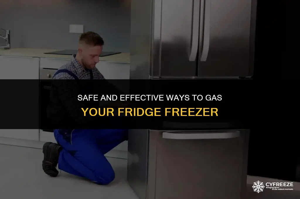 how to gas a fridge freezer