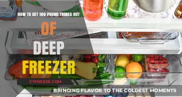 Safely Removing Heavy Items from Your Deep Freezer: A Step-by-Step Guide