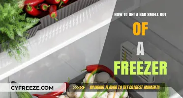 Eliminate Freezer Odors: Quick Fixes for Bad Smells in Your Freezer