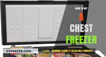 Ultimate Guide to Choosing and Buying the Perfect Chest Freezer