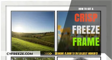 Mastering Crisp Freeze Frames: Techniques for Perfectly Sharp Stills