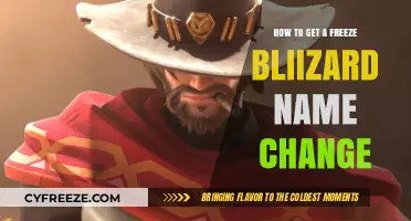 How to Secure a Blizzard Name Change: Step-by-Step Guide