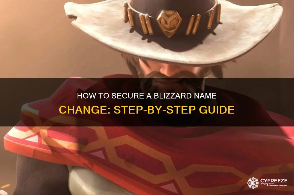 how to get a freeze bliizard name change