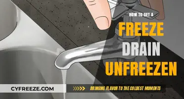 Quick Fixes to Thaw and Unfreeze Your Drain Instantly