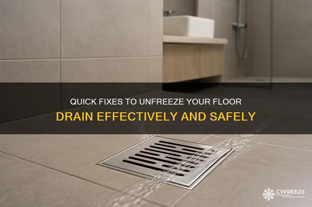 how to get a freeze floor drain unfrozen
