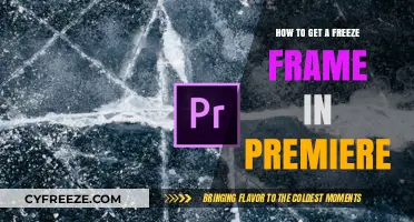 Mastering Freeze Frames in Premiere Pro: A Step-by-Step Guide