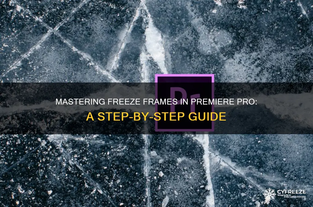 how to get a freeze frame in premiere