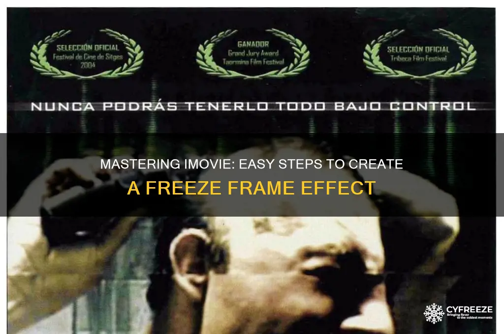 how to get a freeze frame on imovie