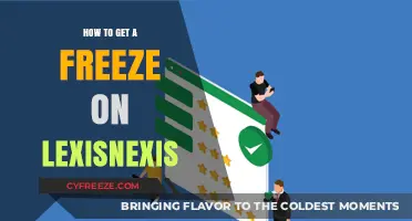 How to Secure a Freeze on Your LexisNexis Report: A Guide