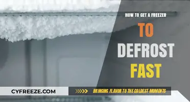 Quickly Defrost Your Freezer: Efficient Tips for Fast Ice Removal