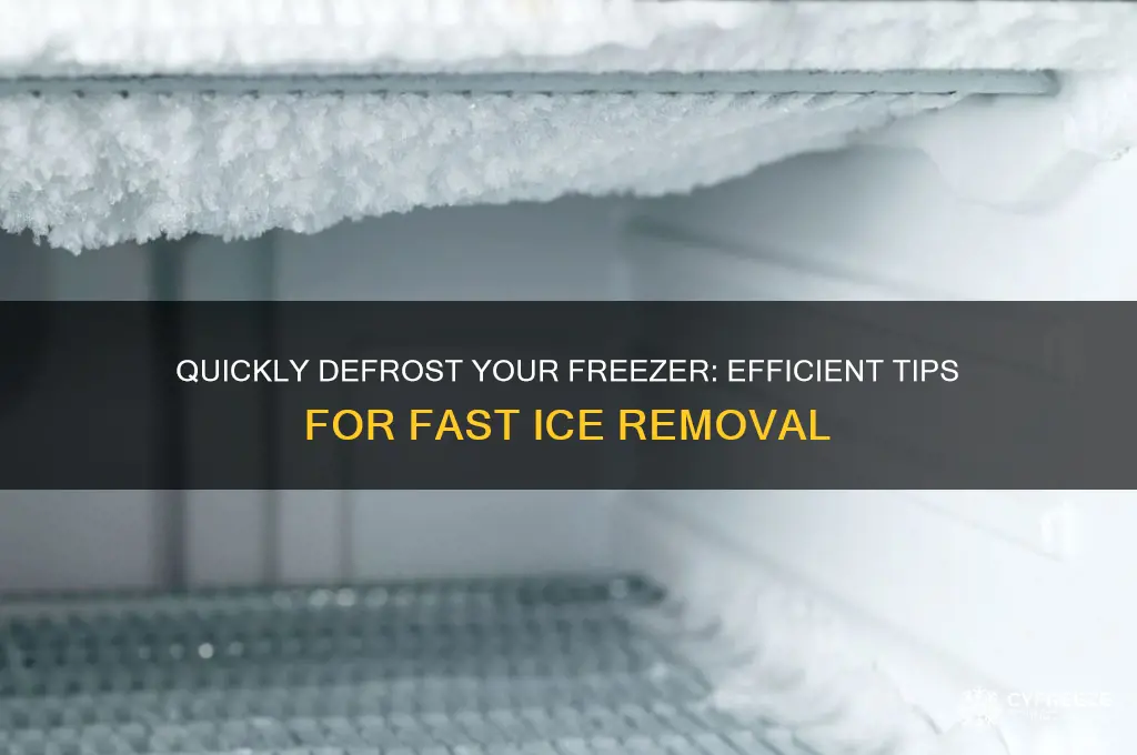 how to get a freezer to defrost fast