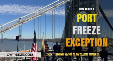 Unlocking Port Freeze Exceptions: A Step-by-Step Guide for Success