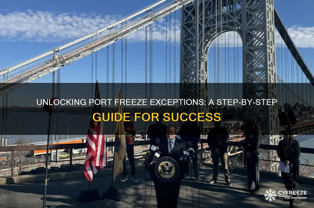 how to get a port freeze exception