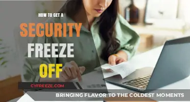 Removing a Security Freeze: A Step-by-Step Guide to Unlocking Your Credit