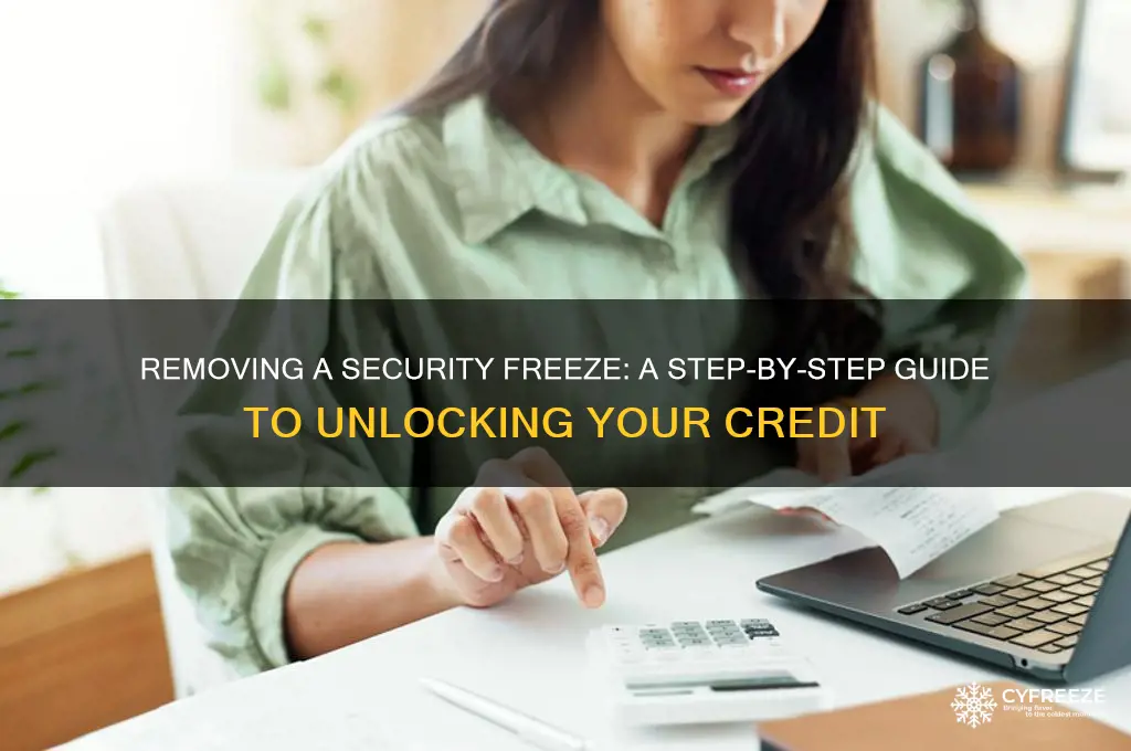 how to get a security freeze off