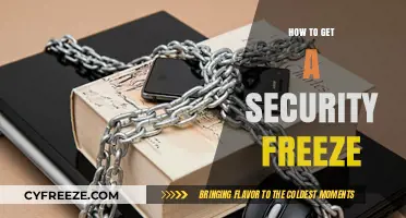 Secure Your Identity: A Step-by-Step Guide to Placing a Security Freeze