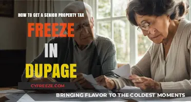 Secure Your Senior Property Tax Freeze in DuPage County: A Guide