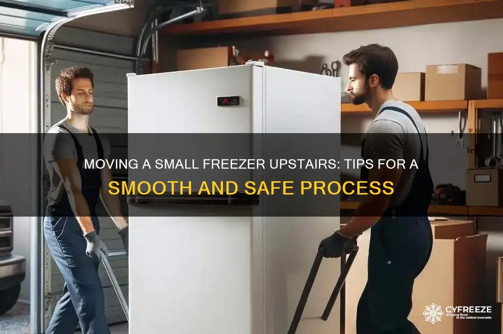 how to get a small freezer up stairs
