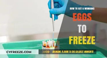 Egg Freezing for Women: A Comprehensive Guide to Preserving Fertility