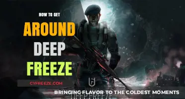 Bypassing Deep Freeze: Effective Strategies to Regain System Control