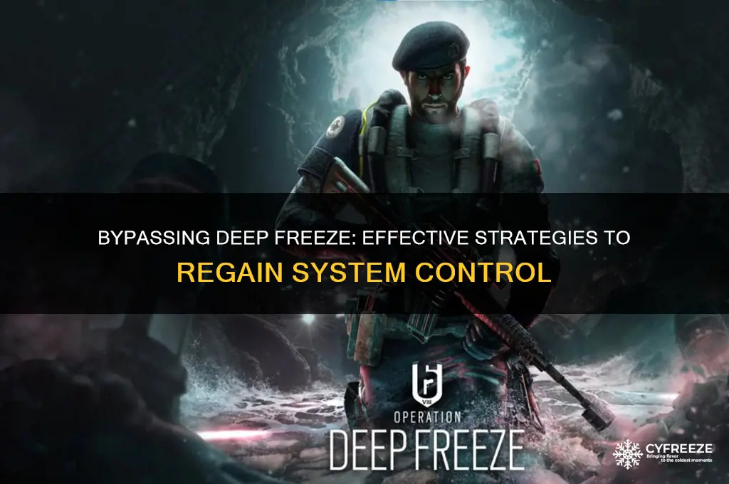 how to get around deep freeze