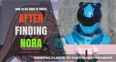 Reviving Freeze: Steps to Restore After Discovering Nora's Impact