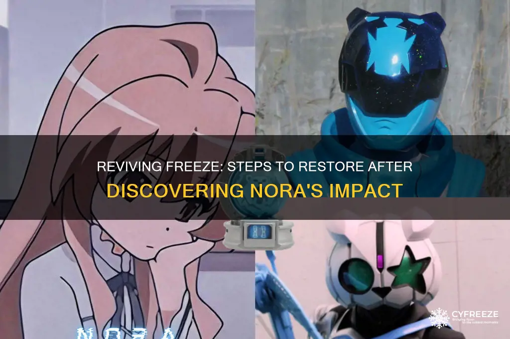 how to get back to freeze after finding nora