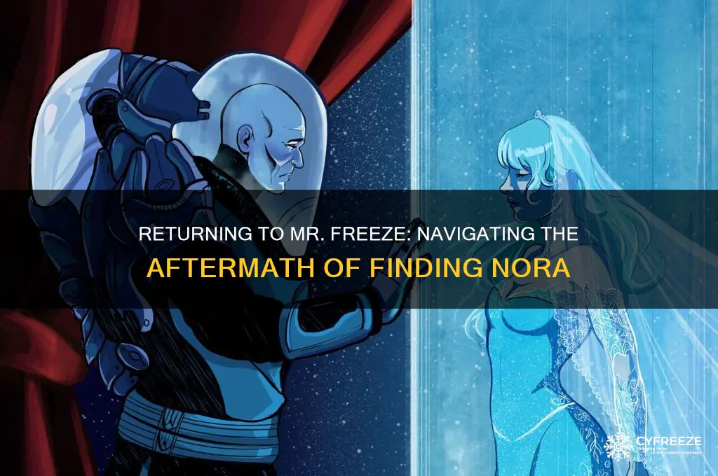 how to get back to mr freeze after finding nora