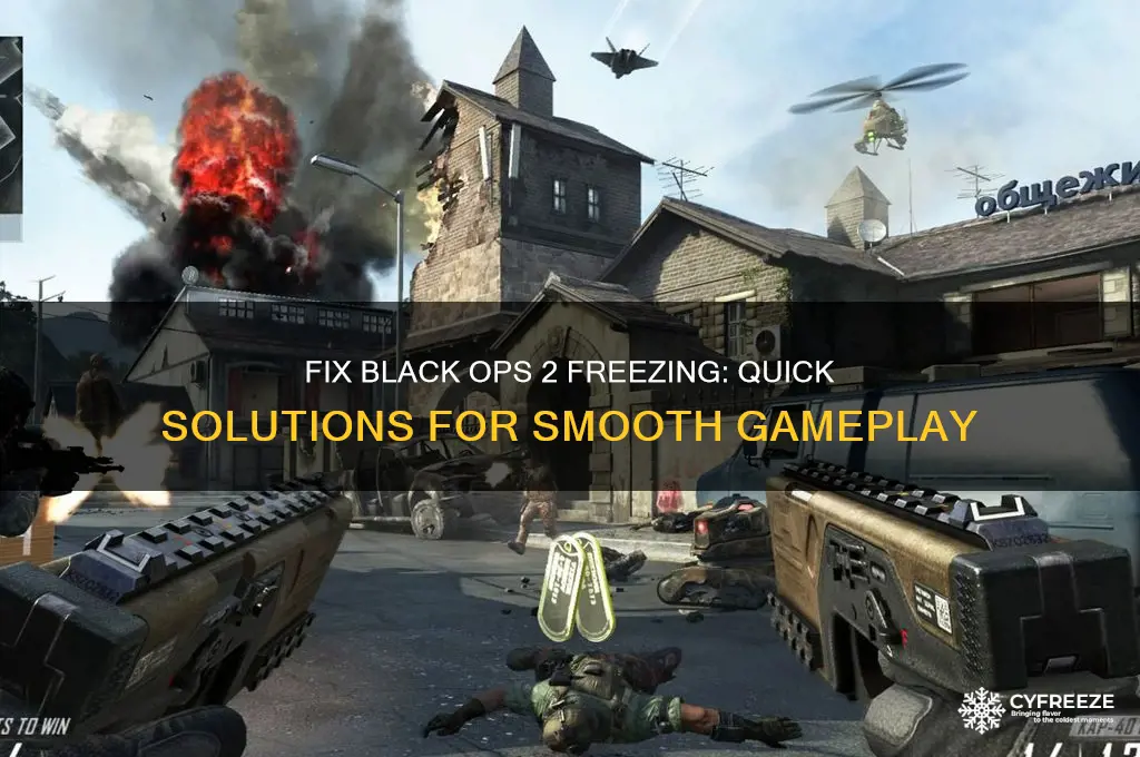 how to get black ops 2 to stop freezing
