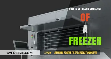 Effective Ways to Remove Blood Odor from Your Freezer