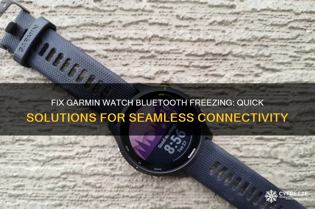 how to get bluetooth on your garmin watch freezes