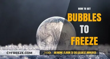 Freeze Bubbles Instantly: Simple Tricks for Capturing Frozen Magic