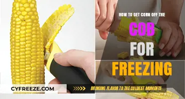 Efficiently Remove Corn Kernels for Freezing: A Step-by-Step Guide