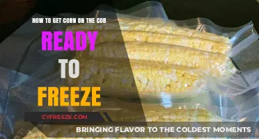 Quick Guide to Freezing Corn on the Cob for Year-Round Enjoyment