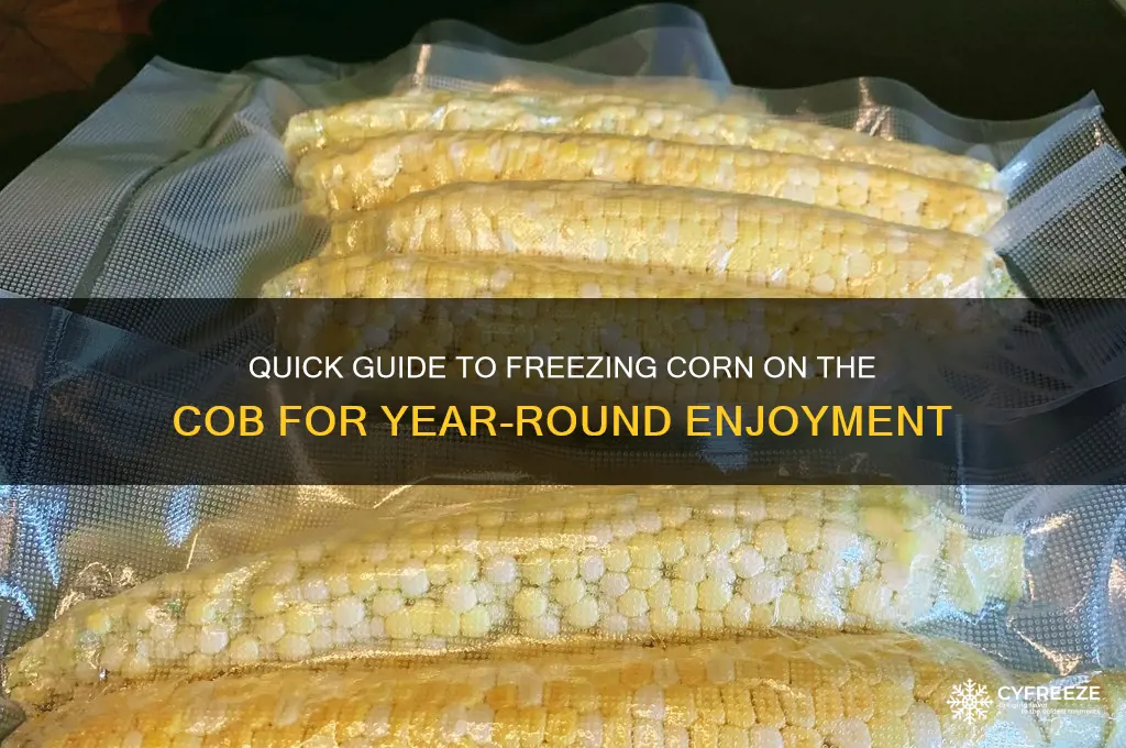 how to get corn on the cob ready to freeze
