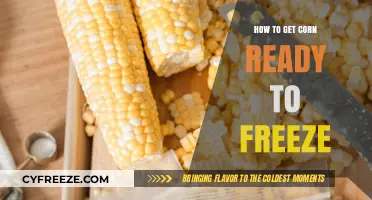 Perfectly Preserve Your Corn: A Guide to Freezing Fresh Corn