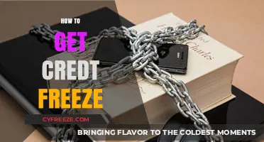 Secure Your Identity: A Step-by-Step Guide to Credit Freeze