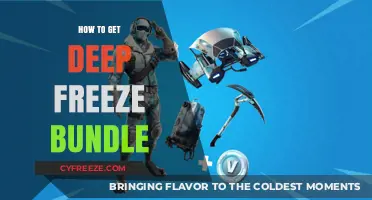 Unlocking the Deep Freeze Bundle: A Step-by-Step Guide to Acquire It
