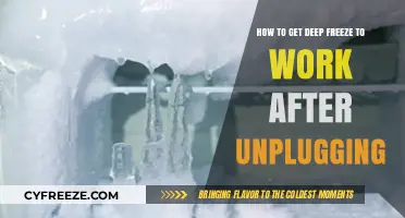 Reviving Deep Freeze: Steps to Restore Functionality After Unplugging