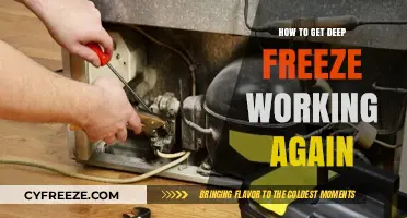 Revive Your Deep Freeze: Quick Fixes to Restore Full Functionality