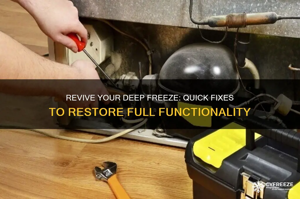 how to get deep freeze working again
