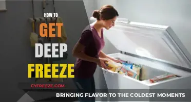 Mastering Deep Freeze: A Step-by-Step Guide to Installation and Use